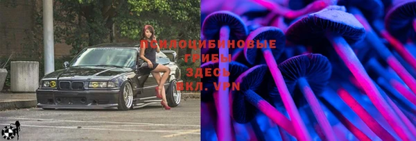 молекула духа Михайловка