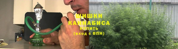 шишки Балахна