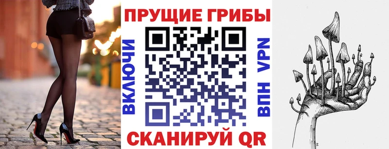 Галлюциногенные грибы GOLDEN TEACHER  omg сайт  Комсомольск-на-Амуре 