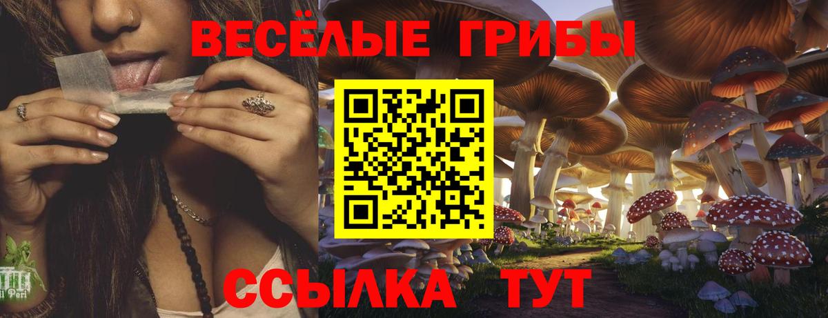 купить закладку  Вход с VPN  Комсомольск-на-Амуре  Галлюциногенные грибы MAGIC MUSHROOMS 
