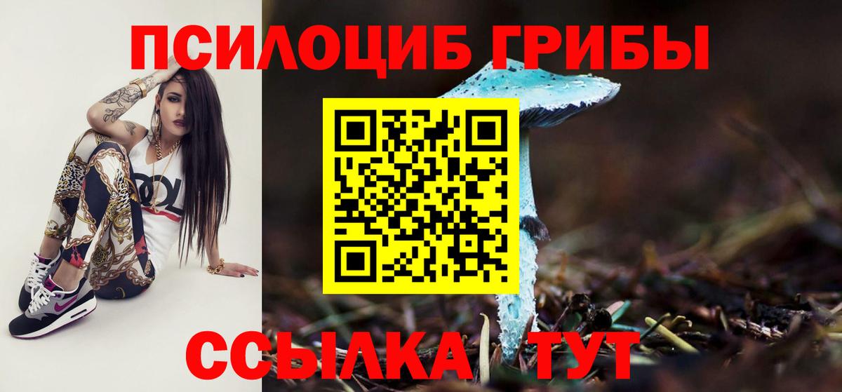 Псилоцибиновые грибы GOLDEN TEACHER  Комсомольск-на-Амуре  Галлюциногенные грибы Cubensis 