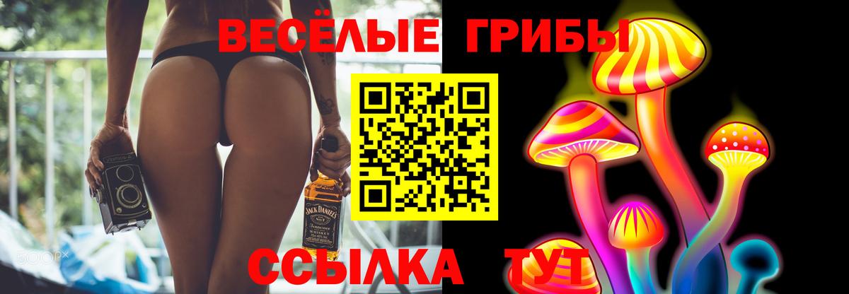 Псилоцибиновые грибы Psilocybe Комсомольск-на-Амуре
